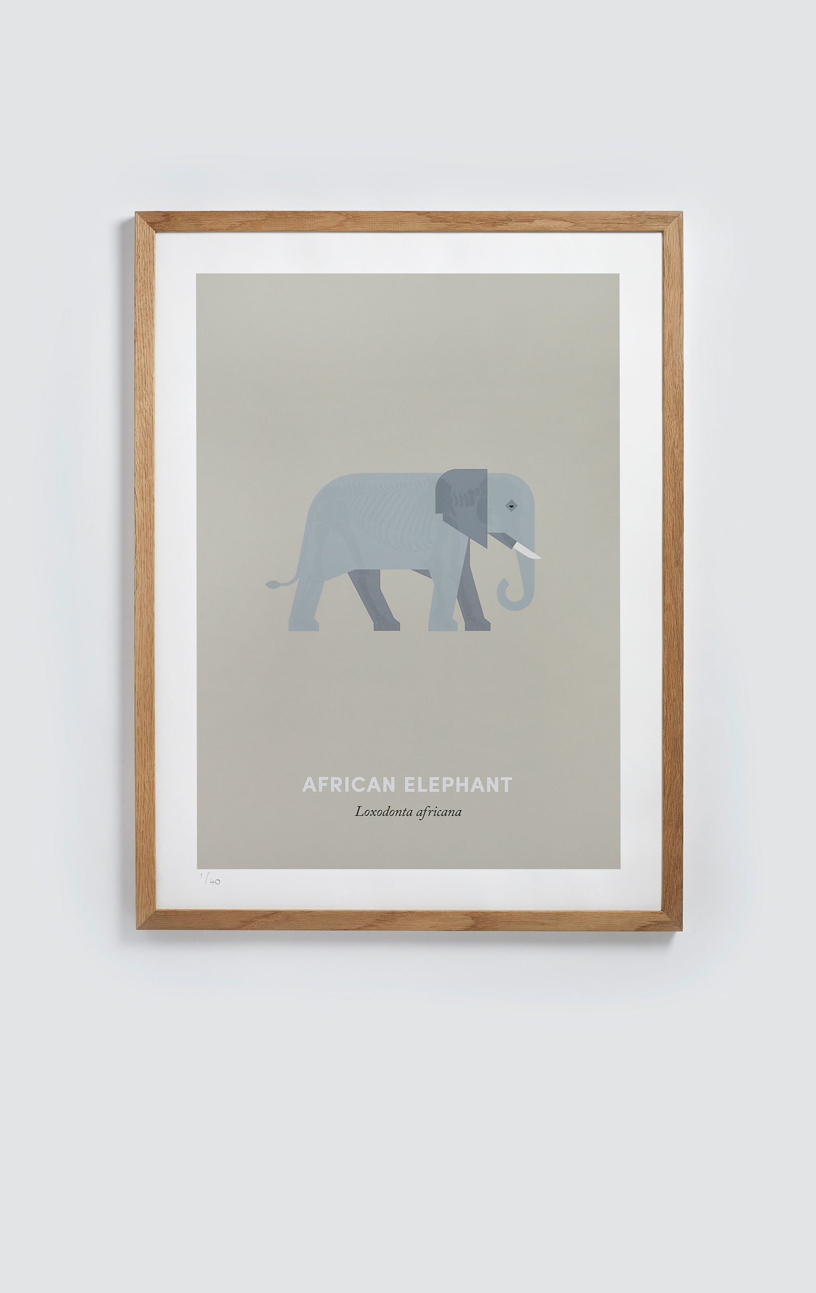 African Elephant screen print