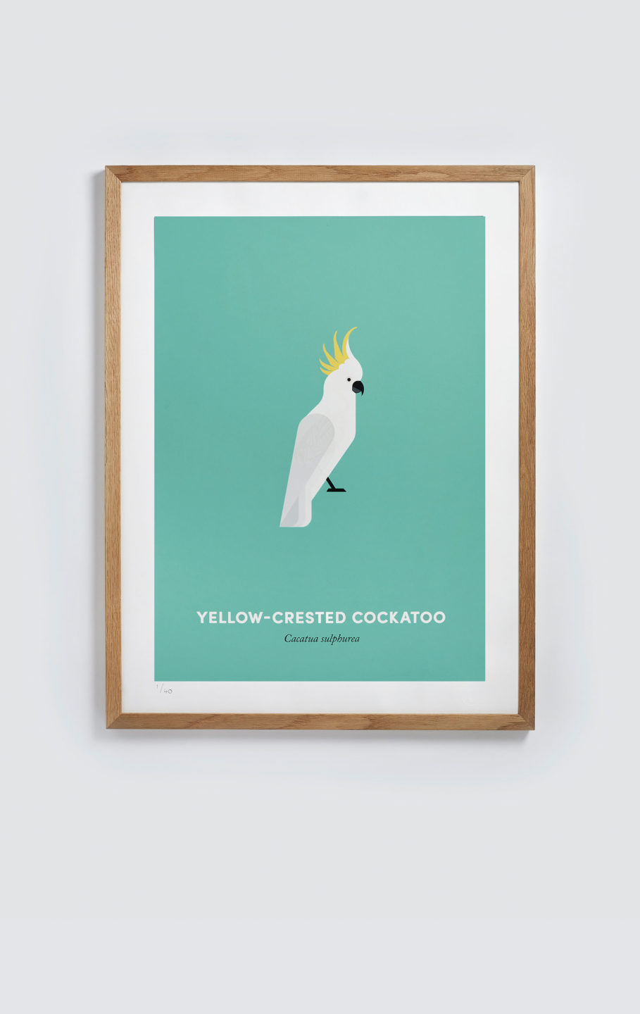 Yellow-Crested Cockatoo screen print