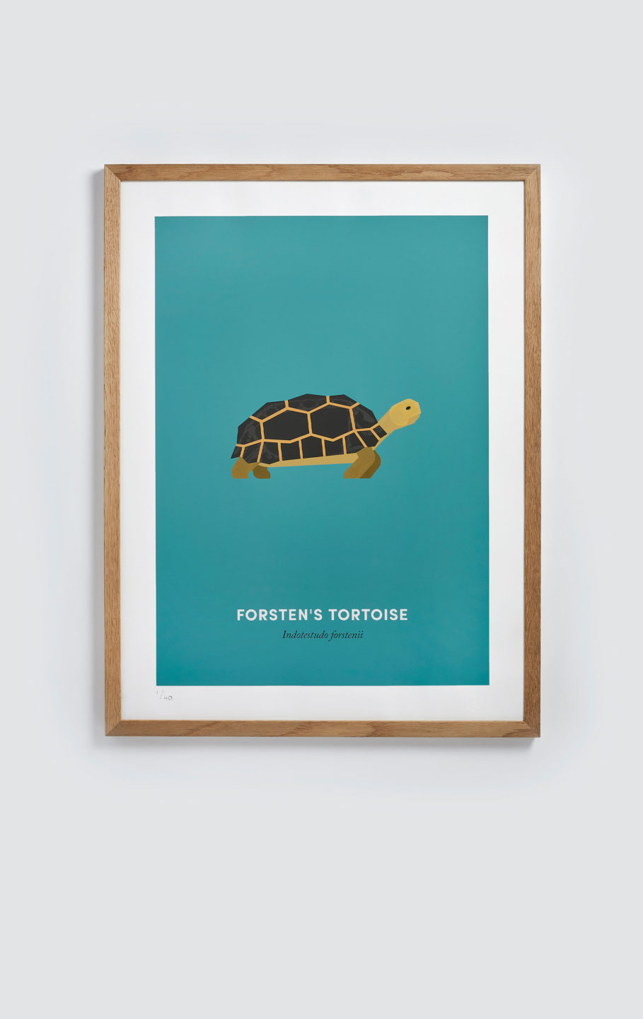 Forsten’s Tortoise screen print