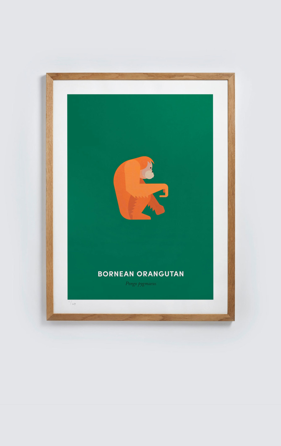 Bornean Orangutan screen print