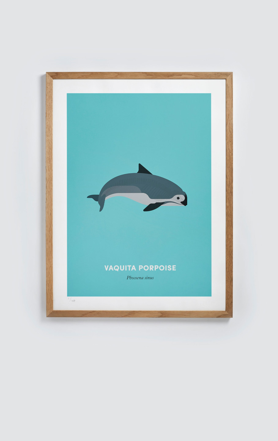 Vaquita Porpoise screen print