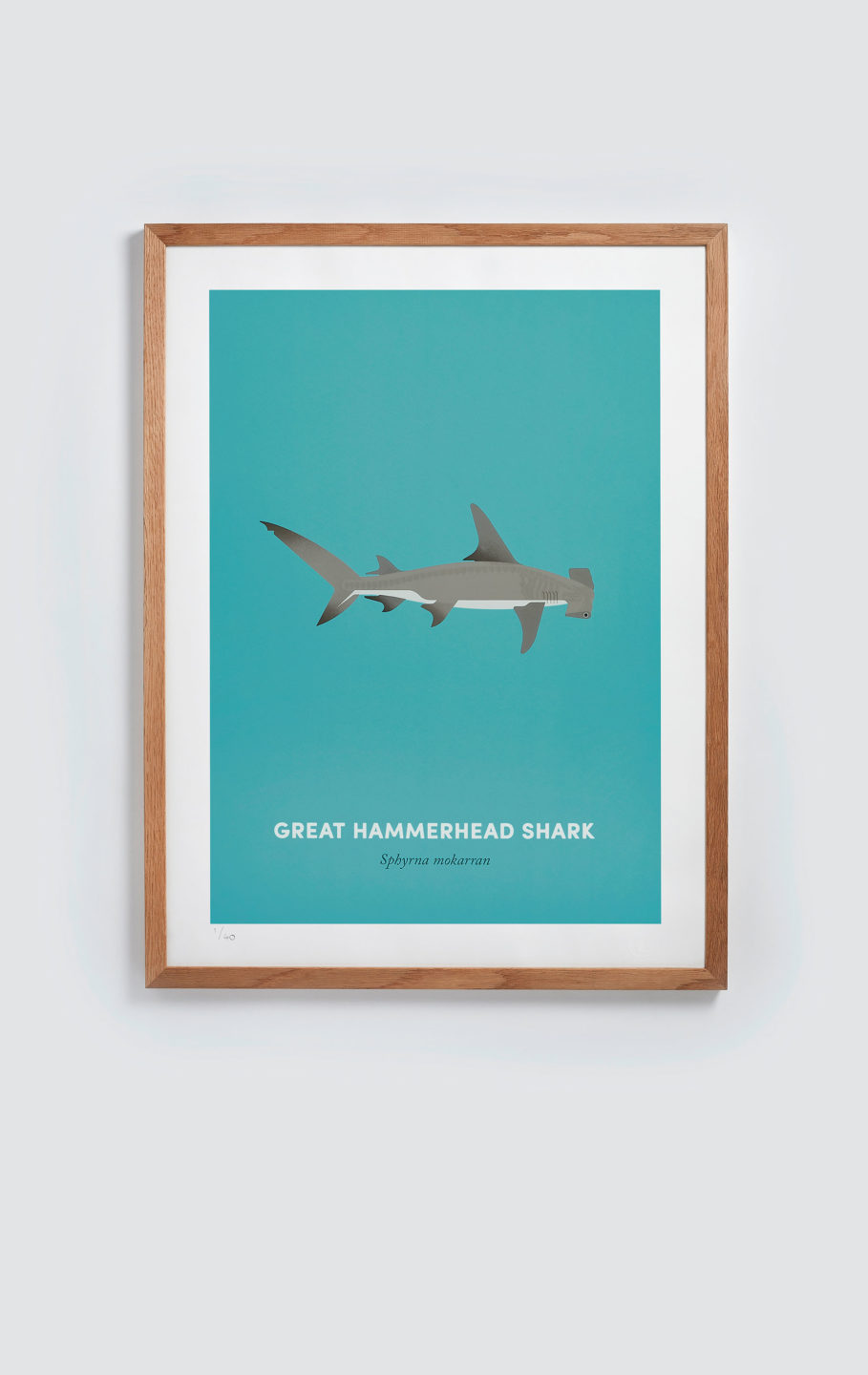 Great Hammerhead Shark screen print